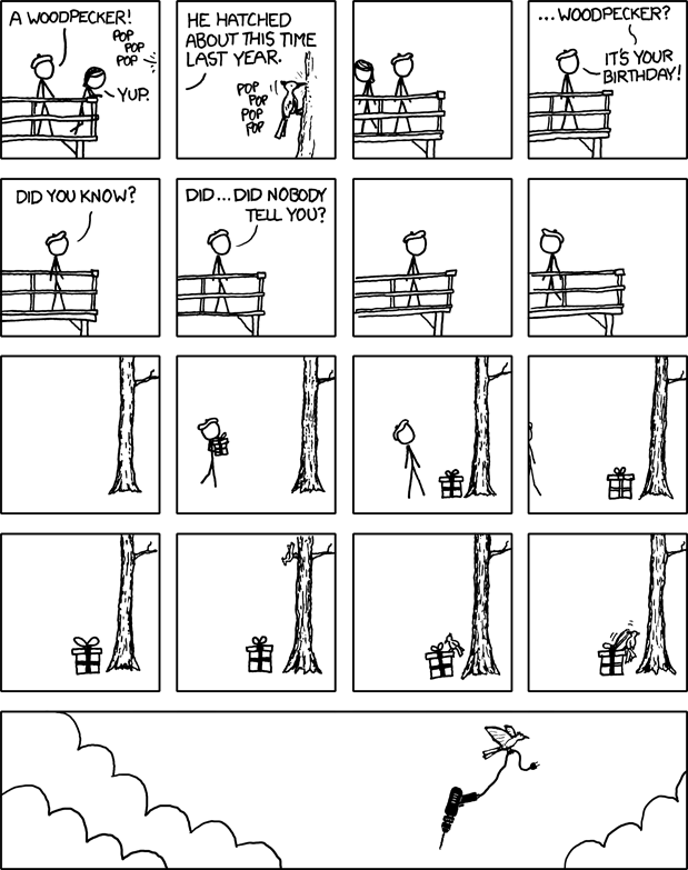 Woodpecker